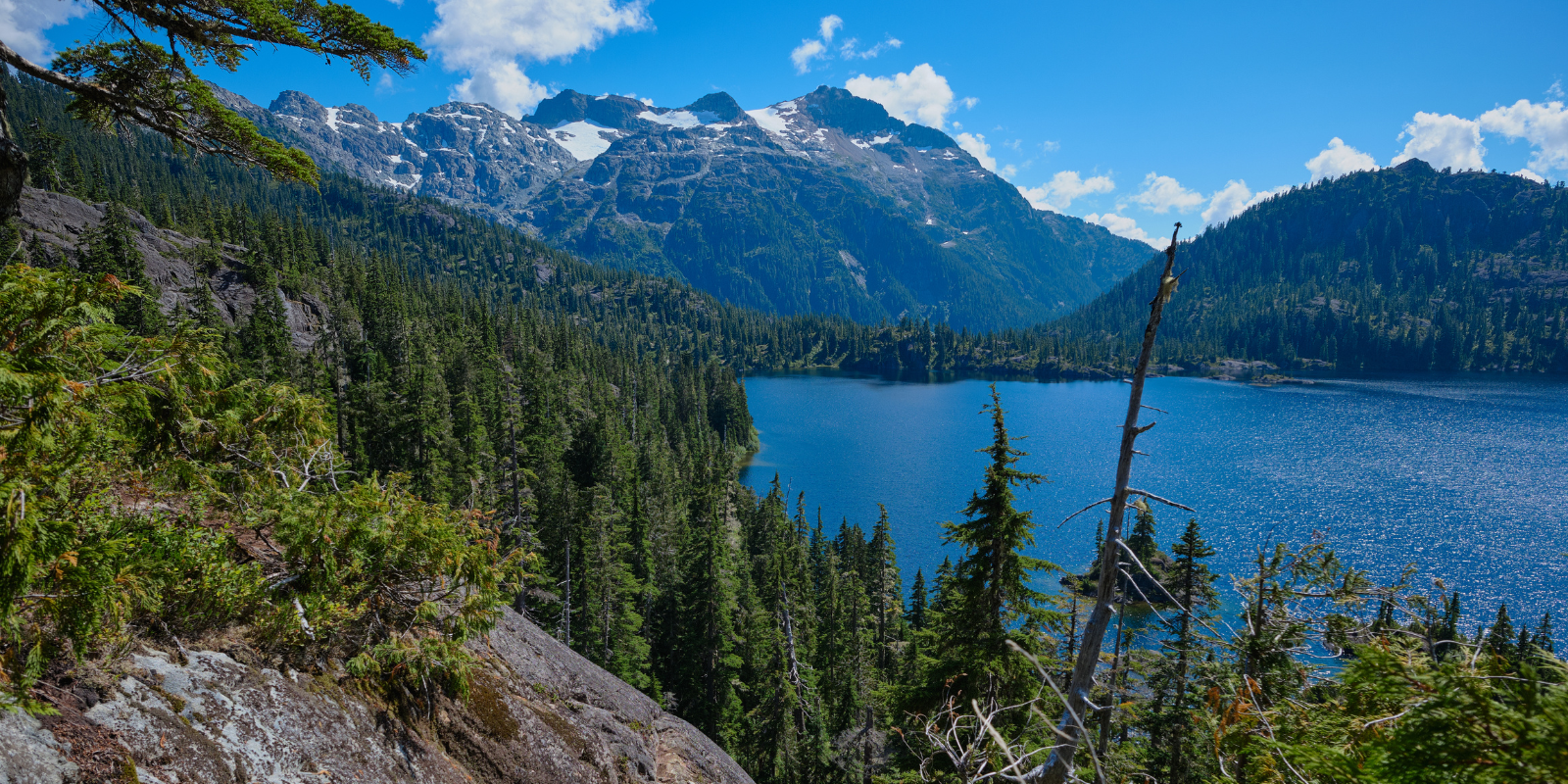 Embracing Island Life: The Lure of Central Vancouver Island